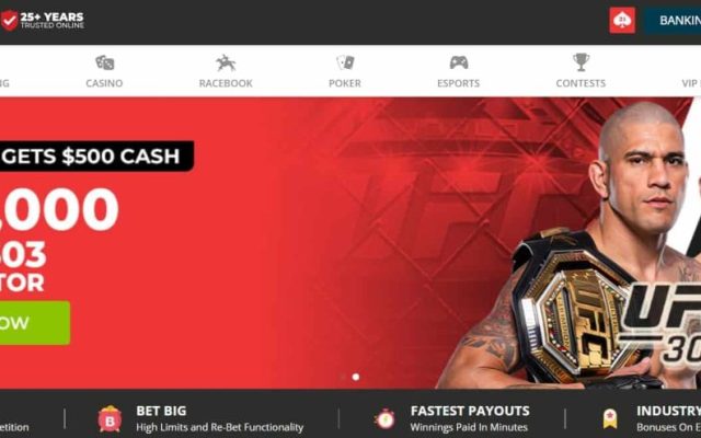 UFC e MMA — Odds para Lutas e Metodo de Vitoria